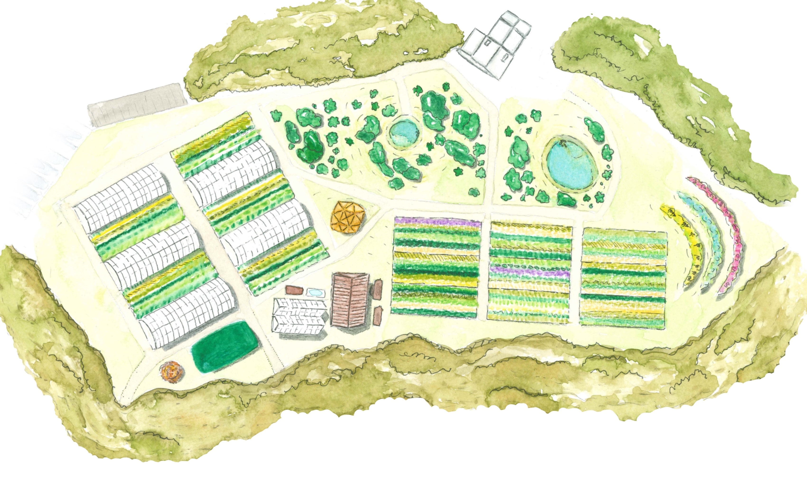 Plan aquarelle de la ferme Terraphile